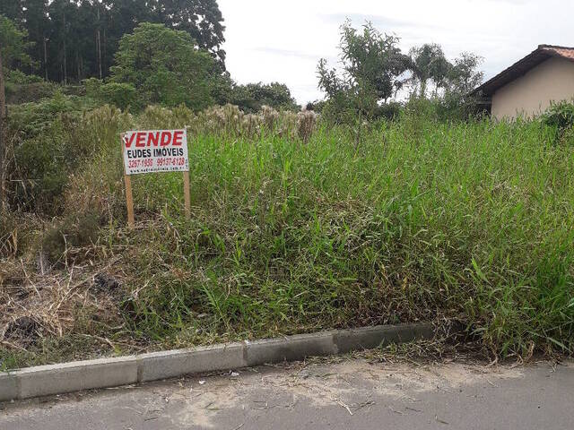 #387 - Terreno para Venda em Curitiba - PR - 1